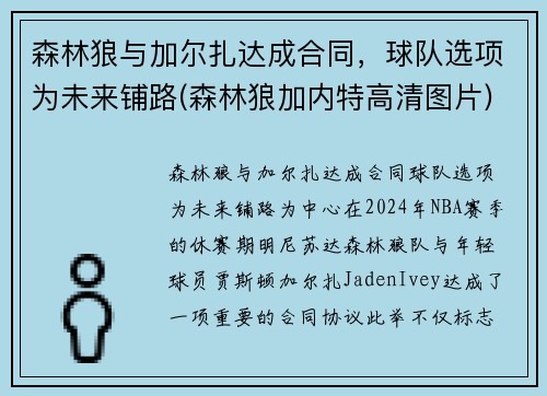 森林狼与加尔扎达成合同，球队选项为未来铺路(森林狼加内特高清图片)